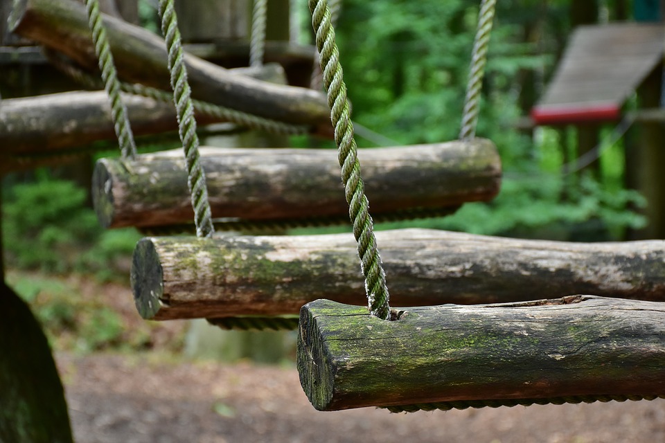Wood Testing Services